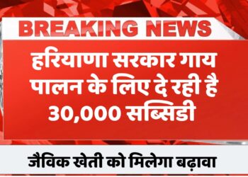 haryana-prakritik-kheti-yojana-2025-govt-subsidy