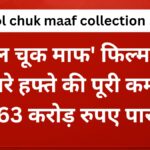bhool-chuk-maaf-collection