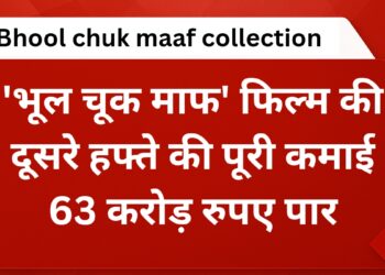 bhool-chuk-maaf-collection