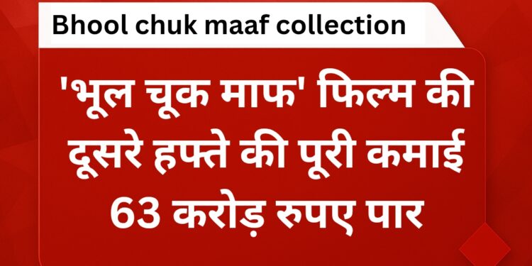 bhool-chuk-maaf-collection