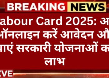 labour-card-2025