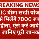 lic-bima-sakhi-yojana