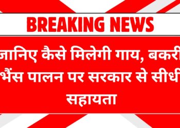 pashupalan-subsidy-yojana-2025