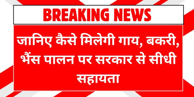 pashupalan-subsidy-yojana-2025